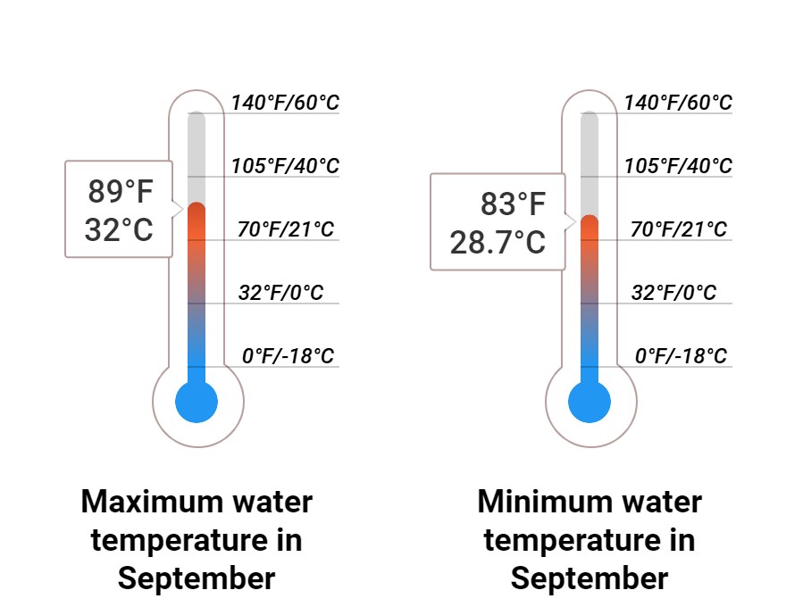 Average Sea temperature